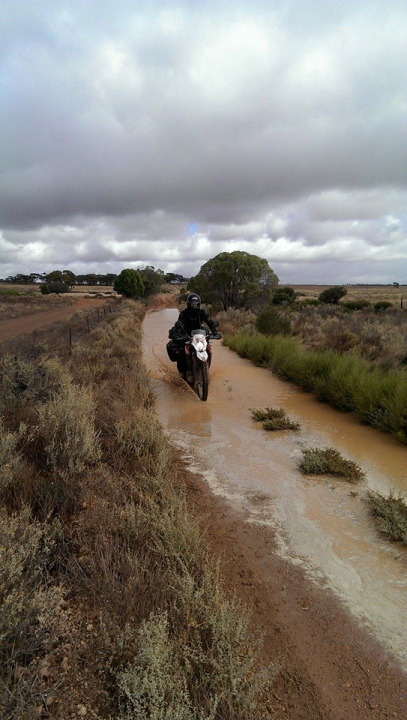 Day 51 - Angaston, South Australia to Menindee, New South Wales - 510km Chris versus Kangaroo!