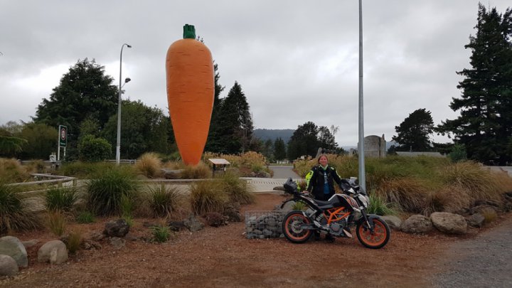 How I bought a motorcycle (KTM 390 Duke) in New Zealand