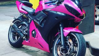 Yamaha YZF R6 - Miss Piggy