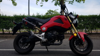 Honda Grom MSX125