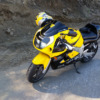 Suzuki GSXR 600 - Bee