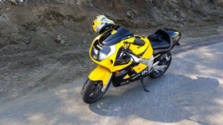 Suzuki GSXR 600 - Bee