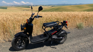 Honda Ruckus 