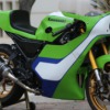 Kawasaki Ninja 300 - race bike replic