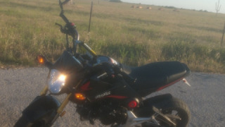 Honda Grom MSX125 - Revzilla