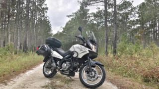 Suzuki V-Strom 650 - Zebra