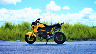 Honda Grom MSX125 - HoneyGrom