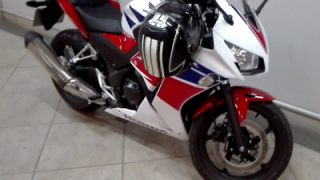 Honda CBR 300R - Standard