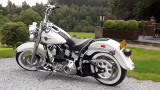 Harley-Davidson Fat Boy - Thunder in the Glen 2019