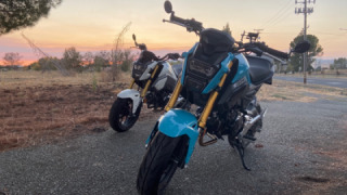 Honda Grom MSX125