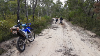 Yamaha WR 250R