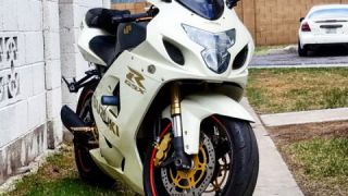 Suzuki GSXR 750 - White Rhino