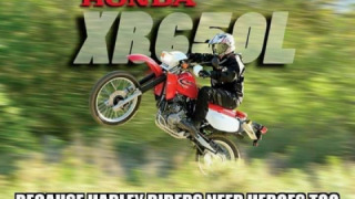 Honda XR 650L - Rosie The Big Red Pig