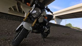 Honda Grom MSX125