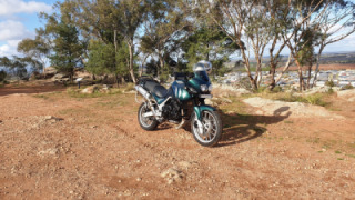 Triumph Tiger 955i