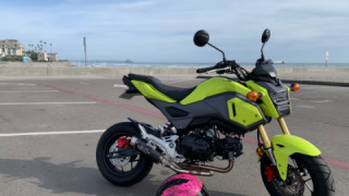 Honda Grom MSX125 - Rhonda