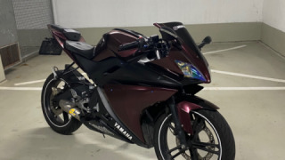 Yamaha YZF R125 - Puder