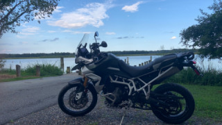 Triumph Tiger 900 - Simba