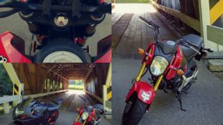 Honda Grom MSX125