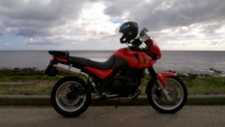 Triumph Tiger 955i