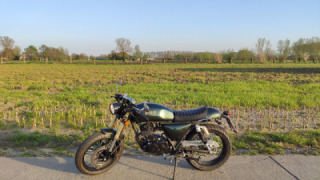 ABM MSX 125 - Bullit