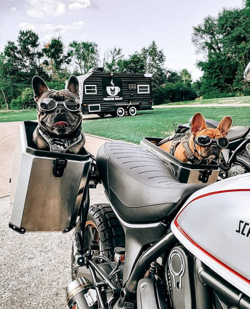 I have yet to see a better way to use panniers.