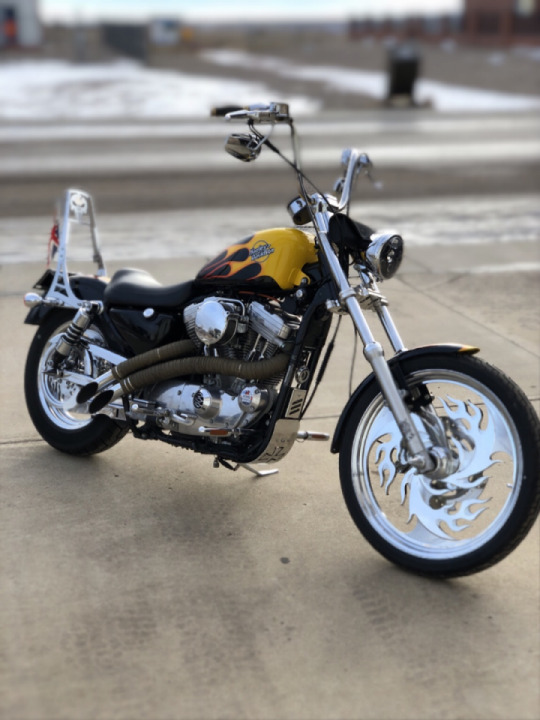 My HD Sportster