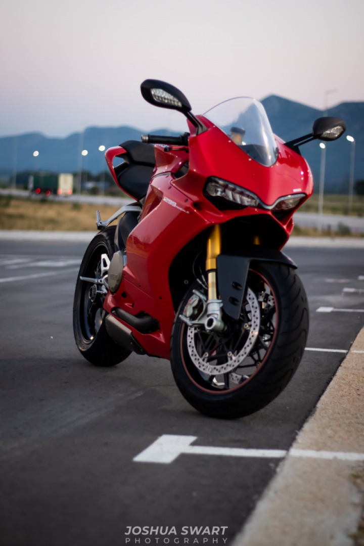 Couple pictures taken by a proper photographer of my Panigle 1299S