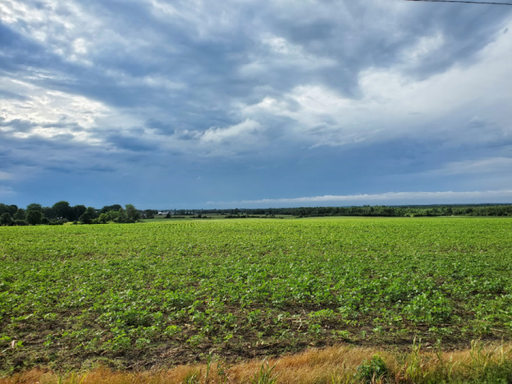 Skirting the rain clouds