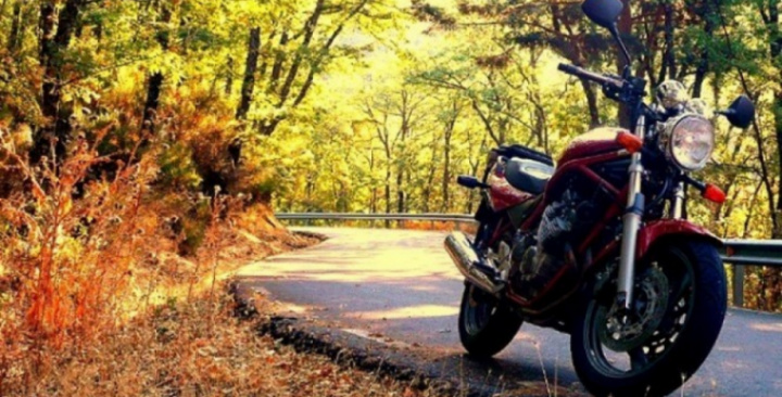 The Carolinas Chapter Leaf Peeper Ride