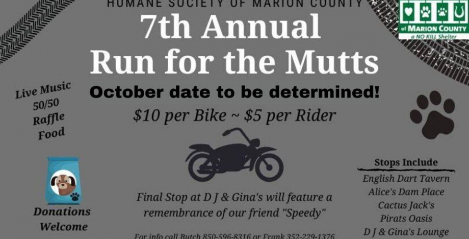 7th Annual Run for the Mutts