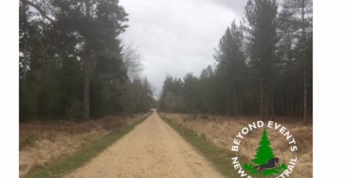 Beyond New forest trail 2020