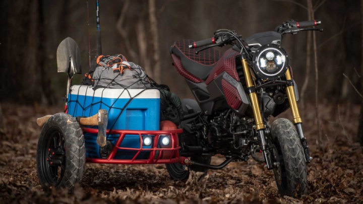 New Honda Grom with a sidecar