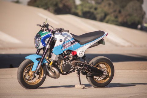 Jesse Davis Honda GROM 250 (YZ250 Engine Swap)